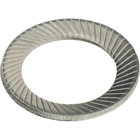 Reidl Sicherungsscheiben ähnl. Schnorr 30 x 45 x 2, Form S, beids. gezahnt, blank (1/2)