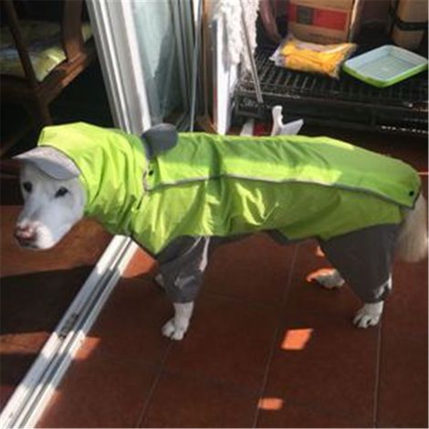 Grand Chien imperméable Tout Compris, imperméable pour Animaux de Compagnie avec Chapeau, pour la Protection Contre la Pluie, Chiens Moyens et Grands, Sortir, Marcher Golden Retriever Labrador，vert