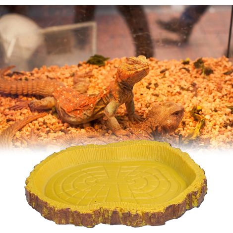 Bassin pour reptiles, imitation écorce, pour lézards et tortues marines, pour aquariums. (1/5)