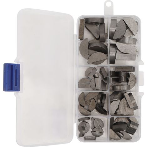 Ensemble de 80 lames demi-rondes en acier inoxydable à poils de sanglier de différentes tailles, avec boîte de rangement (1/5)