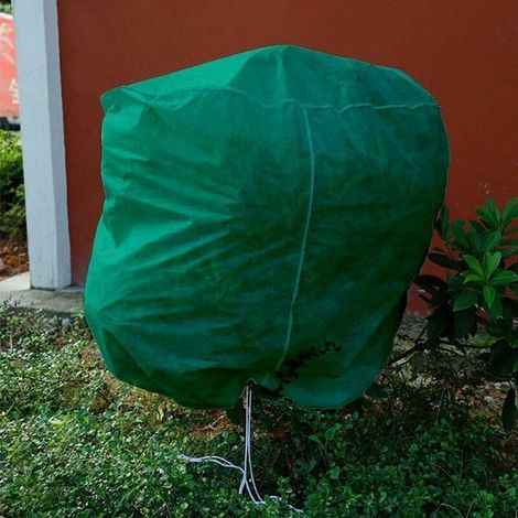 Voile dhivernage,Voile D'hivernage Plante, Voile Hivernage Olivier, Voile Dhivernage Arbre, Housse De Protection Tomate Citronnier, Housse Hivernage Pour Plantes Sac Vegetaux Jardin Tissu Non Tissé (1 (1/4)