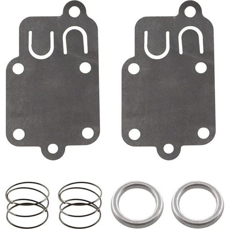 Kit de réparation de carburateur - Membrane pour Briggs Stratton 270026 272538S 272637 moteurs 3 CV jusqu'à 5 CV horizontal (1/5)