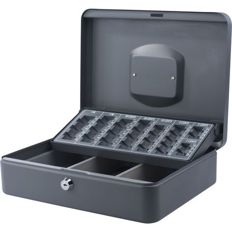 Cassa portamonete pavo Pro grigio scuro 30 cm acciaio