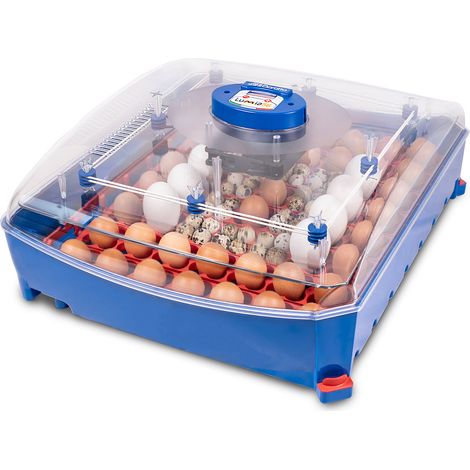 Incubatrice per Uova Professionale con Biomaster Borotto Lumia 56 (1/5)