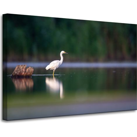 Lienzo impreso con la imagen de una garza blanca (90x60 cm).