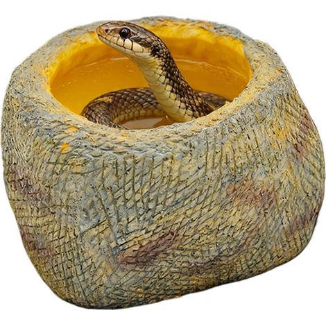 Bac à Eau pour Reptiles Accessoires pour Animaux en Résine Réaliste Pierre Accessoire pour Terrarium Nourriture pour Grenouille Araignée Hermite Baignade Abreuvement Maison Terrain Terrarium (1/5)