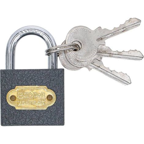Cadenas Type S 32 mm - Acier, Compact et Sécurisé, Pro - D-Work