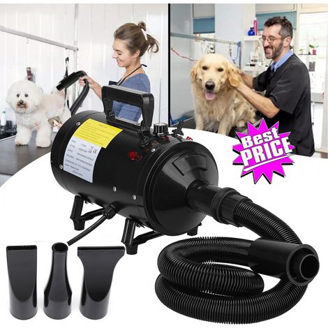 Sèche-cheveux pour animaux de compagnie Séchoir pour chiens Séchoir pour chiens Profi Dryer Blower (1/4)