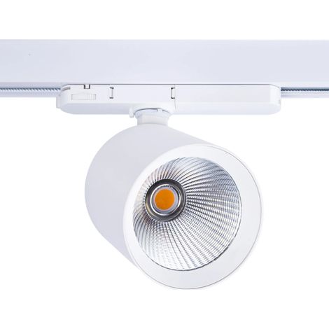 40-W-Drehstrom-LED-Projektor für Metzgereien, Lifud Flicker Free Treiber (1/2)