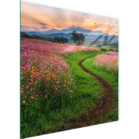 PLACA PROTECTORA DE VIDRIO PARA ESTUFA 50x52 SUPERIOR (1/5)
