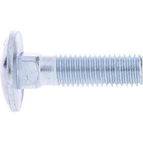 Vite a testa tonda con quadro sottotesta zincata M12x45 8.8 UNIVERSALE 603124588 (1/3)