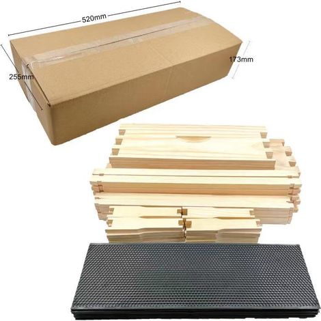 Vente d'équipements apicoles : kit de ruches Langstroth à 10 cadres profonds avec fondations en plastique (1/4)