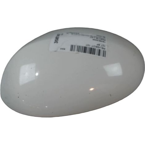 Carenage Retroviseur Exterieur Gauche PEUGEOT 107 [PRODUIT D'OCCASION]♻️815290 (1/3)