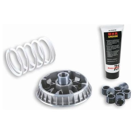 Variateur Multivar 2000 - SUZUKI BURGMAN 400 L0