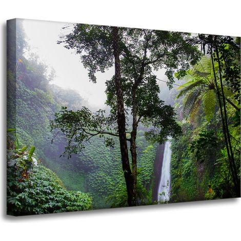 Leinwanddruck Natur Tropischer Wald 70x50 cm