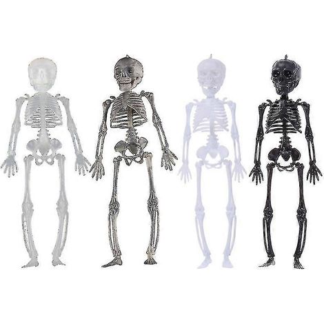 4-teiliges Halloween-Skelett für Halloween-Dekorationen (1/3)