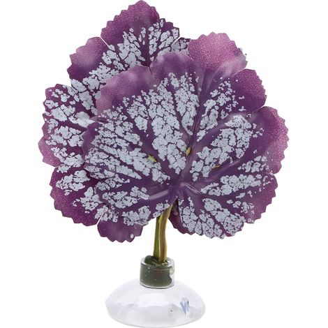 Hamacs Betta à Feuilles avec Ventouse, Coussin De Repos Et D'élevage, Décoration D'aquarium pour Aquariums (1/5)