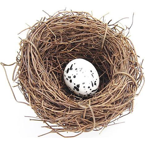 Nid d'oiseaux artificiels, nichoir à oiseaux, jardin, nature, artisanat, faux nid d'oiseau vintage, cage à oiseaux créative pour Pâques, décoration printanière, vitrine (6 cm) (1/5)