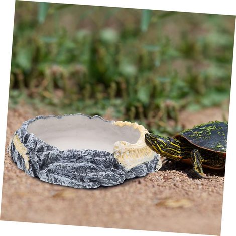 bol de nourriture et d'eau pour reptiles 15x15 cm, résine, facile à nettoyer, texture réaliste, pour les petits reptiles, geckos, lézards et caméléons (1/5)