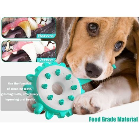 Kauspielzeug für Hunde, Naturkautschukring für Backenzähne, Hundefrisbee, interaktives Backenzahnreinigungsspielzeug, geeignet für mittelgroße und große Hunde (1/4)