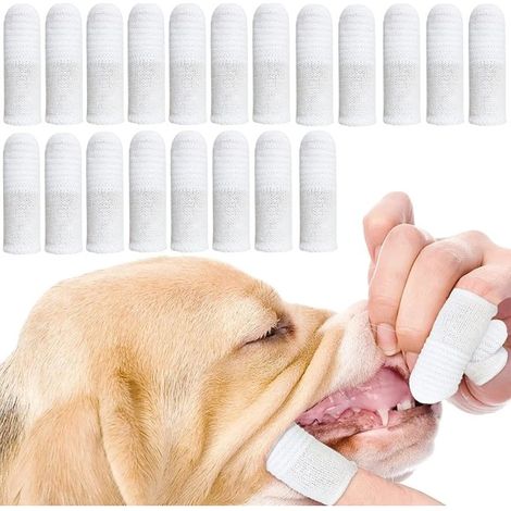 Lot de 20 brosses à dents pour chiens et chats, brosses d'hygiène dentaire, anti-plaque dentaire (1/4)
