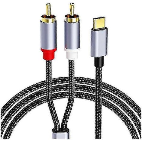 Câble convertisseur stéréo USB-C vers 2 RCA de 1 m (1/5)
