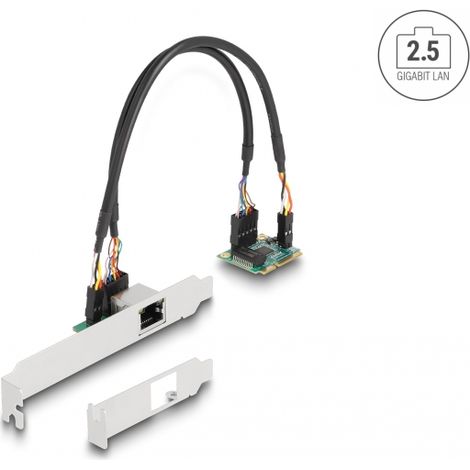 Delock Mini PCIe I/O PCIe half size 1 x RJ45 2,5 Gigabit LAN