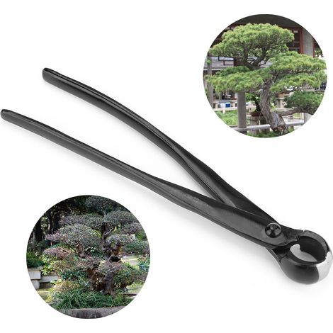 Concave Bonsai Clip, Straight Cut - Stainless Steel (1/5)