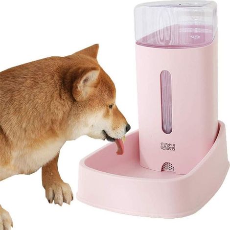 Distributeur automatique de nourriture et d'eau pour chats Mis Blue (1/5)