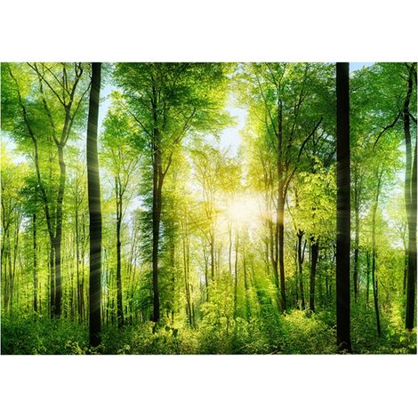 Affiche de forêt adhésive effet 3D, pour décoration d'aquarium, 61x41cm (1/5)