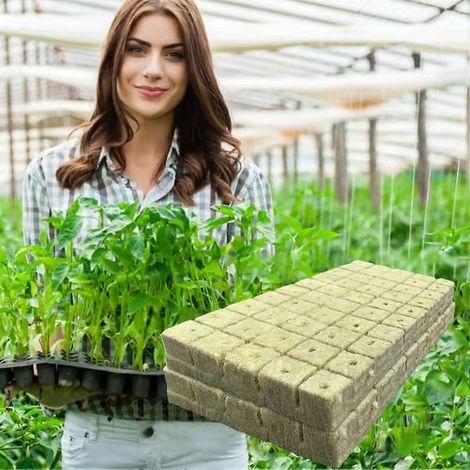 Laine de roche de jardin de 1 pouce, cubes de culture en laine de roche, pastilles de démarrage pour culture sans sol, boutures de plantes, (50 pcs) (1/5)