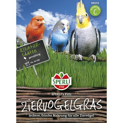 Sperli – Herbe pour oiseaux d'ornement « SPERLI's Pitti » – Graines, récolte après 3 semaines, 10 cm (1/2)