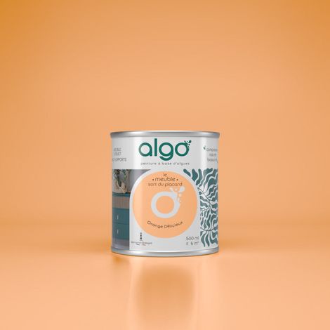 Peinture pour Meuble - Orange Délicieux - 0.5L / Mat