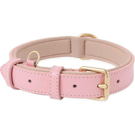 collier De Chien, En Cuir, Collier De Chien Ajustable Coussin Moelleux Cuir Rembourr Pour Petite, Moyenne Ou Grande Chiens, Rose, Xs (1/5)