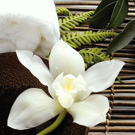 Tableau zen idéal salle de bain | Tableau fleur blanche & feuille verte | Tableau sur toile orchidée pour couloir & bureau 0,5 x 0,5 m (1/2)