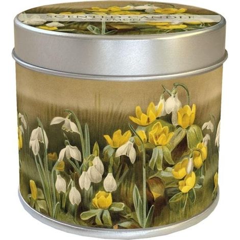 Vela aromática de campanillas de invierno con aroma a limón.