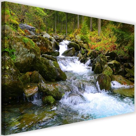 Tableau sur toile cascade forêt de montagne 60x40 (1/5)