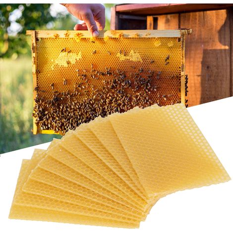 10 Pièces de Cire d'Abeille pour Ruche, Fondation Apicole pour Polissage Meubles et Sols