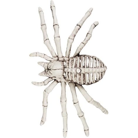 Décoration Halloween - Araignée Squelette - BOLAND - 24 cm - Intérieur