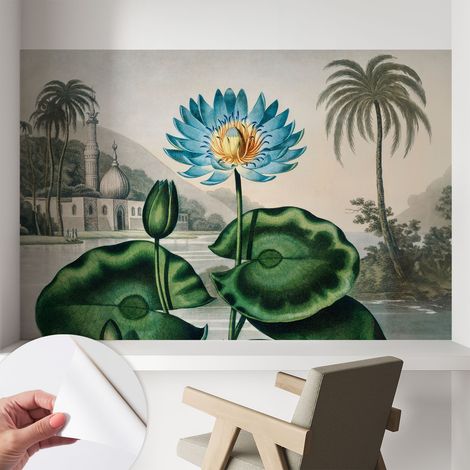 Carta da parati autoadesiva - Fotomurale adesivo - design elegante - stile moderno - Paesaggio esotico 104x70 cm (1/5)