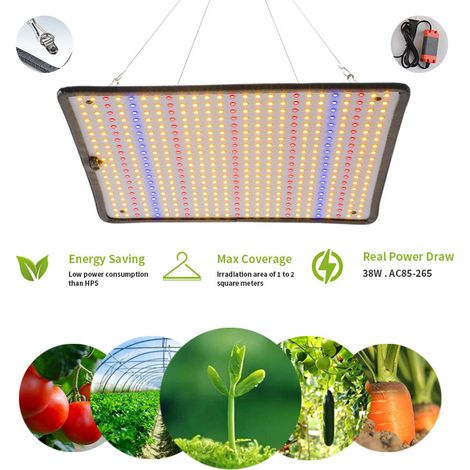 Lampe Horticole LED 100W Spectre Complet Panneau Quantique Ultra-fin pour Culture Intérieure Serre et Semis-lsw (1/5)