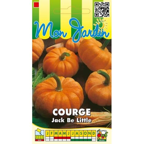 Courge Jack Be Little - 3g