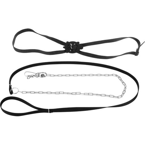 Harnais pour tortues, laisse réglable, respectueux de la peau, pour animaux de compagnie, reptile, pour l'extérieur, noir, L (1/5)