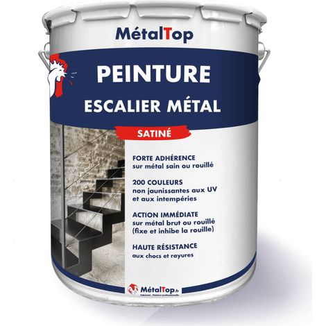 Peinture Escalier Métal - Bleu clair - RAL 5012 - 5 L - Métaltop (1/5)