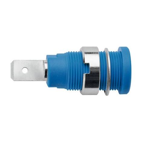 Schützinger DI SEB 7080 Ni / BL Prise encastrée de sécurité bleu 1 pc(s) Y150982 (1/2)