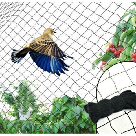 Filet Anti Oiseaux, Filet Protection Oiseaux Noir, Utilisé pour Protéger Les Jardins, Les Plantes et Les Raisins du Préjudice(25FT50FT2inch) (1/4)