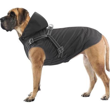 Manteau de Pluie pour Chien à Capuche réfléchissant pour Chien Veste de Pluie réglable pour Chiens et Chiots de Petite Moyenne et Grande Taille(Vert, L) (1/5)