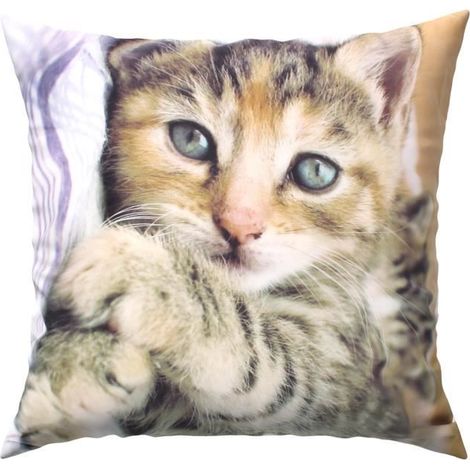 Housse de coussin - AVIZAR - Lot de 2 - 40x40 cm - Motif Chaton Allongé - Multicolore (1/5)
