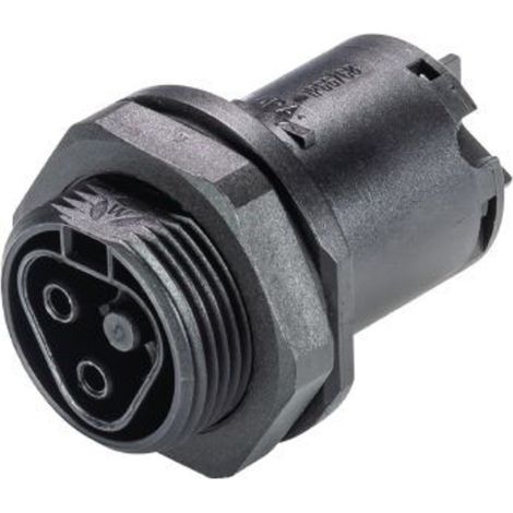 Wieland Electric 96.021.5053.1 Rundstecker Buchse, Einbau Gesamtpolzahl: 2 Serie (Rundsteckverbinder