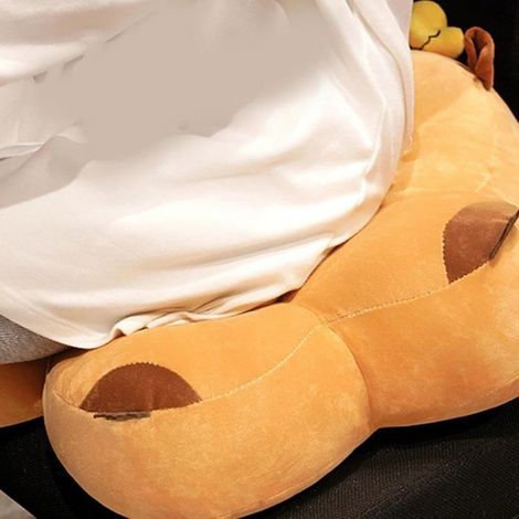 Oreiller Soutien Lombaire Capybaras en Peluche pour Longues Heures D'assise en Coton PP Respirant pour Maison Le Bureau,4545cm,A (1/4)
